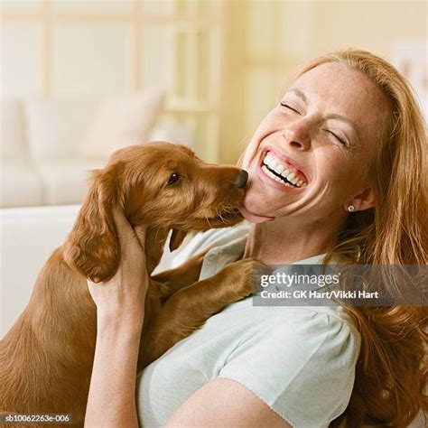 1,156 Dog Licking Woman Stock Photos & High